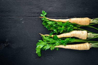 Maydanoz. Kök maydanoz. Ahşap bir arka plan üzerinde. Üstten Görünüm. Metin için boş alan.