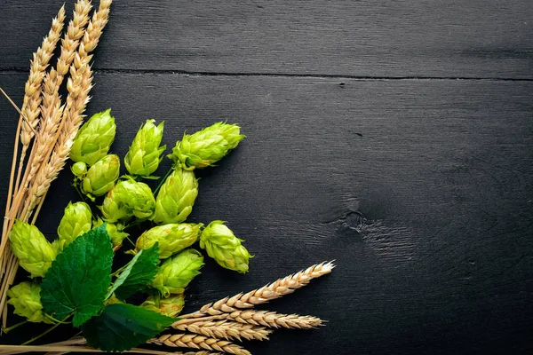 Wheat and hops on a wooden background. Top view. Free space for text. — Stock Photo, Image