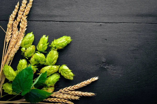 Vete och humle på en trä bakgrund. Ovanifrån. Ledigt utrymme för text. — Stockfoto