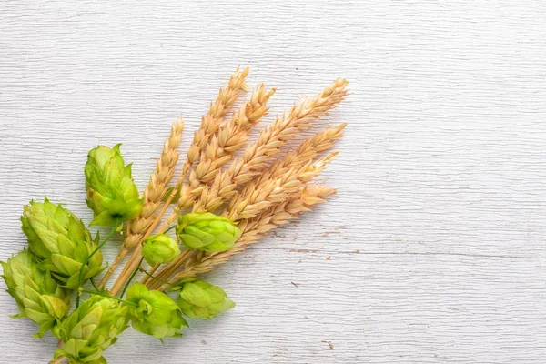 Wheat and hops on a wooden background. Top view. Free space for text. — Stock Photo, Image