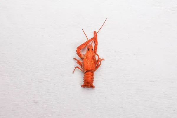 Du homard. Fruits de mer. Sur un fond en bois. Vue de dessus. Espace libre pour votre texte . — Photo