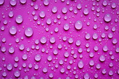 Menekşe arkaplanda su damlaları.