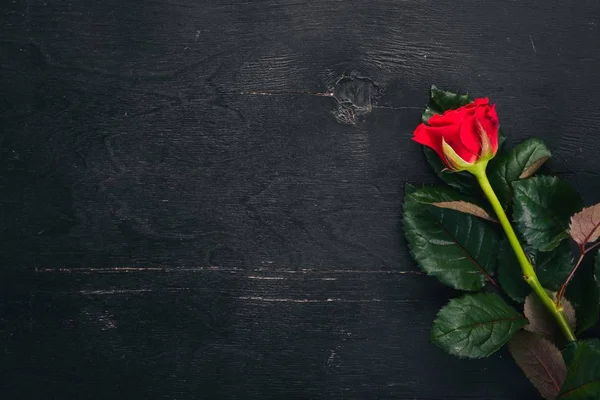 红玫瑰在木制背景 情人节爱 顶部视图 文本的可用空间 — 图库照片