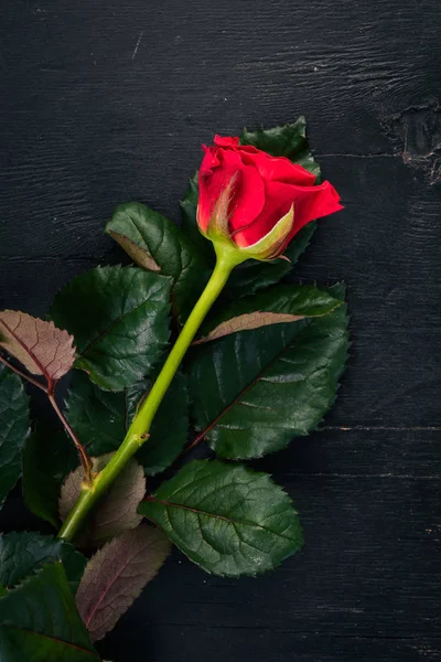 Rosa Vermelha Sobre Fundo Madeira Dia Dos Namorados Com Amor — Fotografia de Stock