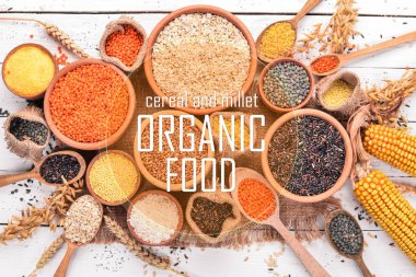 Tahıl ve darı. Organik gıda. Buğday, mercimek, pirinç, darı, arpa, Mısır, siyah pirinç. Üstten Görünüm.