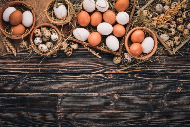A ayarla tavuk ve Bıldırcın yumurta. Ahşap bir arka plan üzerinde. Üstten Görünüm. Kopya alanı.