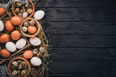 A ayarla tavuk ve Bıldırcın yumurta. Ahşap bir arka plan üzerinde. Üstten Görünüm. Kopya alanı.