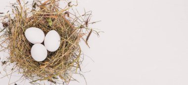 Tavuk çiğ beyaz yumurta. Ahşap bir arka plan üzerinde. Üstten Görünüm. Kopya alanı.