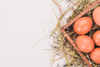 Tavuk ahşap sepet içinde çiğ yumurta. Beyaz ahşap zemin üzerinde. Üstten Görünüm. Kopya alanı.