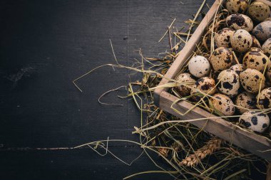 Bıldırcın yumurtası ahşap sepet içinde. Ahşap bir arka plan üzerinde. Üstten Görünüm. Kopya alanı.