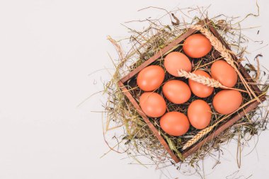 Tavuk ahşap sepet içinde çiğ yumurta. Beyaz ahşap zemin üzerinde. Üstten Görünüm. Kopya alanı.