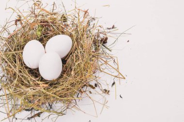 Tavuk çiğ beyaz yumurta. Ahşap bir arka plan üzerinde. Üstten Görünüm. Kopya alanı.