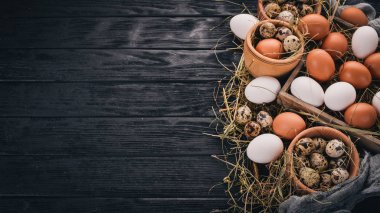 A ayarla tavuk ve Bıldırcın yumurta. Ahşap bir arka plan üzerinde. Üstten Görünüm. Kopya alanı.