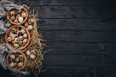 Bıldırcın yumurtası ahşap bir kase. Ahşap bir arka plan üzerinde. Üstten Görünüm. Kopya alanı.