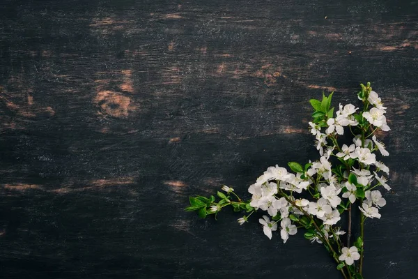 Flower of spring trees. On a wooden background. Top view. Copy space.