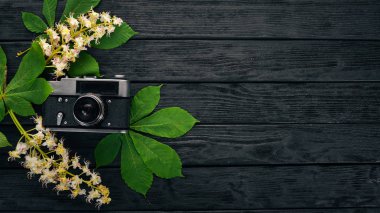Kamera ve kestane çiçekler. Ahşap bir arka plan üzerinde. Üstten Görünüm. Kopya alanı.