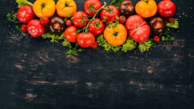 Ürün yelpazesine renkli taze domates. Siyah ahşap arka plan üzerinde. Üstten Görünüm. Kopya alanı.