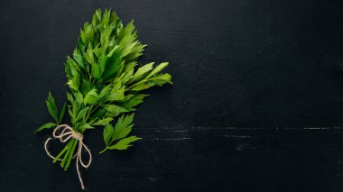 Kereviz yaprakları. Ahşap bir arka plan üzerinde. Üstten Görünüm. Kopya alanı.