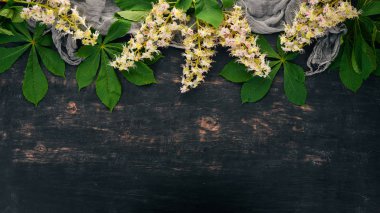 Önümüzdeki kestane. Şifalı bitkiler. Ahşap bir arka plan üzerinde. Üstten Görünüm. Kopya alanı.