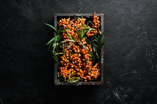 Fresh Sea Buckthorn Berries Twig Top View Free Space Your — Stock Photo, Image