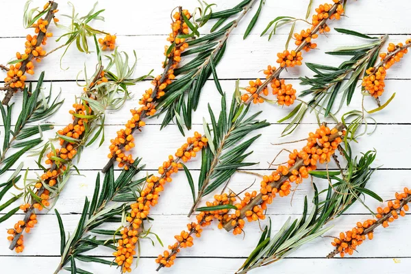 Buckthorn Berries Branch White Background Wooden Top View Free Space — Stock Photo, Image