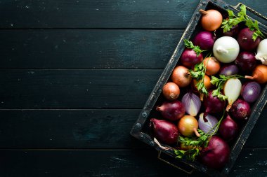Siyah arka planda ahşap tahtada renkli olgun soğanlar. Üst Manzara. Boş kopyalama alanı.