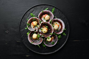 Maydanoz ve baharatla kabuklu fırında deniz tarağı. Üst Manzara. Metnin için boş yer.