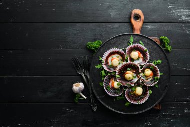 Maydanoz ve baharatla kabuklu fırında deniz tarağı. Üst Manzara. Metnin için boş yer.