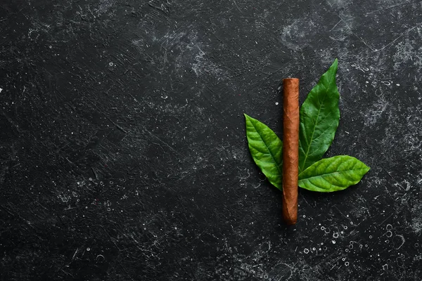 Cuban cigars with leaves on a black stone table. Top view. Free space for your text.