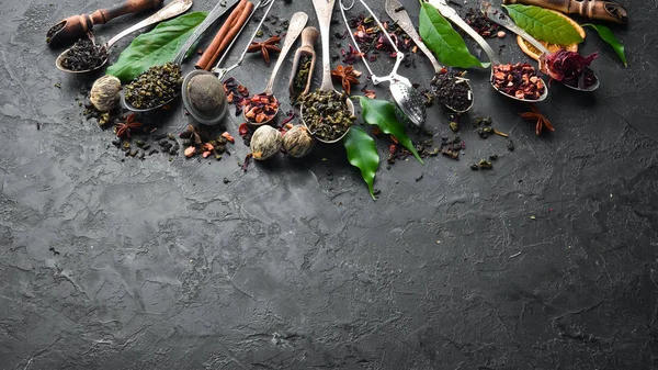 Set Tea Spoons Black Green Fruit White Tea Black Stone — Stock Photo, Image