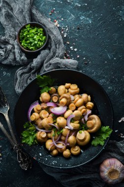 Soğan ve baharatlı mantar turşusu. Şampiyonlar. Üst Manzara. Metnin için boş yer.