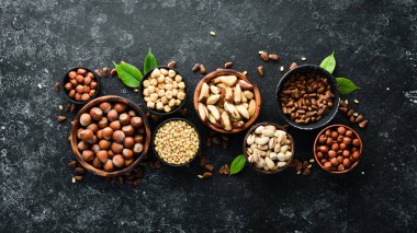 Fındık çeşitleri: Fıstık, fındık, fındık, siyah taşlı fındık. Metnin için boş yer. Üst görünüm.