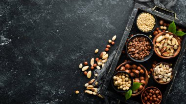 Fındık çeşitleri: Fıstık, fındık, fındık, siyah taşlı fındık. Metnin için boş yer. Üst görünüm.