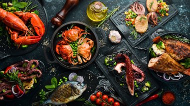 Deniz ürünleri tabakları. Siyah taş zemin üzerinde balık, mürekkep balığı, ahtapot. Üst Manzara. Metnin için boş yer.