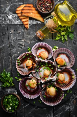 Deniz kabuklarında pişirilmiş deniz tarakları, sarımsak ve baharatlarla birlikte siyah taş bir tabakta. Deniz ürünleri. Üst Manzara. Metin için boş alan.