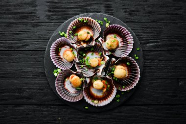 Deniz kabuklarında pişirilmiş deniz tarakları, sarımsak ve baharatlarla birlikte siyah taş bir tabakta. Deniz ürünleri. Üst Manzara. Metin için boş alan.