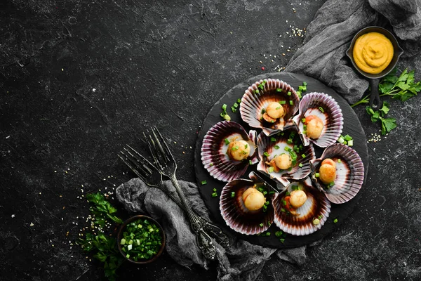 Deniz kabuklarında pişirilmiş deniz tarakları, sarımsak ve baharatlarla birlikte siyah taş bir tabakta. Deniz ürünleri. Üst Manzara. Metin için boş alan.