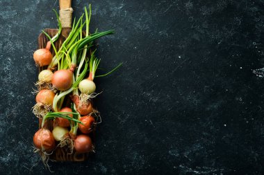 Siyah taşlı arka planda taze soğanlar. Yeşil soğan.