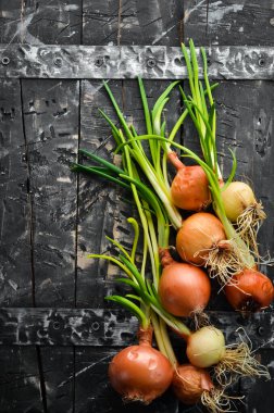 Siyah taşlı arka planda taze soğanlar. Yeşil soğan.