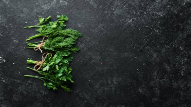 Taze baharatlar ve bitkiler: yeşil maydanoz ve dereotu. Üst Manzara. Metnin için boş yer.