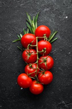 Dal üzerinde kiraz domatesleri. Kokteyl domatesleri. Üst görünüm.