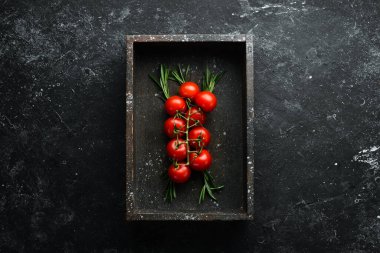 Dal üzerinde kiraz domatesleri. Kokteyl domatesleri. Üst görünüm.