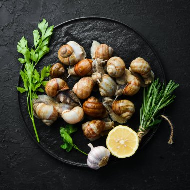 Siyah taş tabakta maydanozlu Taze Üzüm Salyangozu. Üst görünüm.