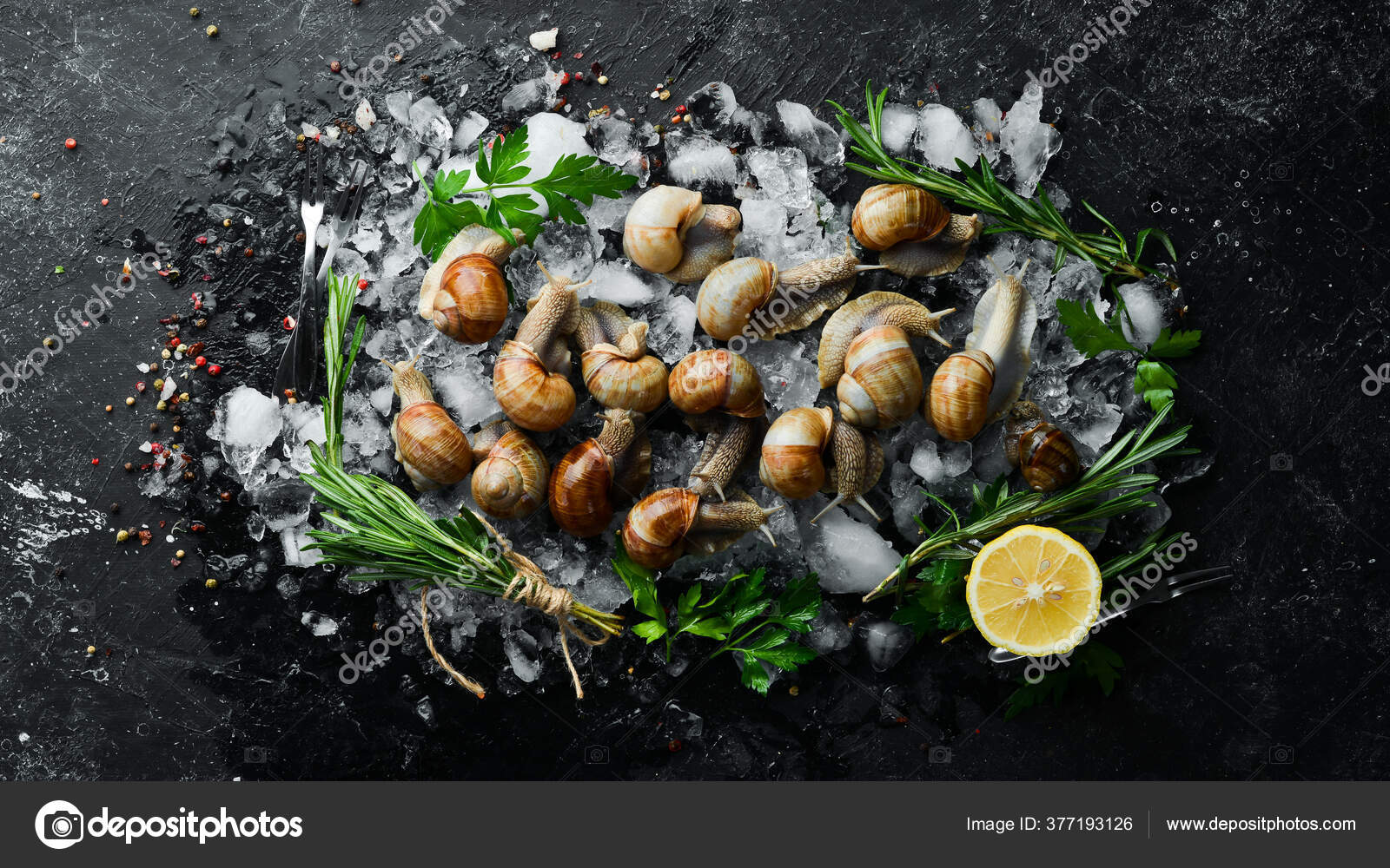 Snails Ice Edible Con Parsley Lemon Cocina Tradicional ...