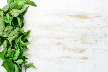 Beyaz ahşap arka planda taze yeşil ısırgan otları. Sağlıklı bitkiler. Üst görünüm.