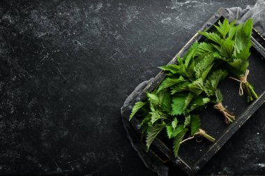 Taze yeşil ısırgan otu. Siyah taşlı arka planda sağlıklı bitkiler. Üst görünüm.