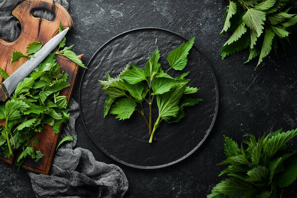 Green nettle sliced on a black background. Healthy herbs. Top view.