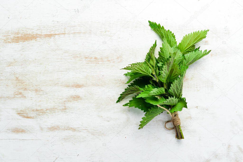 Fresh green nettles on a white wooden background. Healthy herbs. Top view.