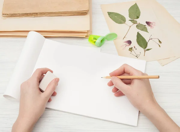 Herbarium av blommor och gräs — Stockfoto