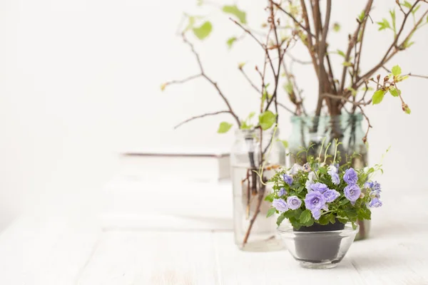 Beyaz ahşap bir masa üzerinde küçük çiçek açan çiçekler — Stok fotoğraf